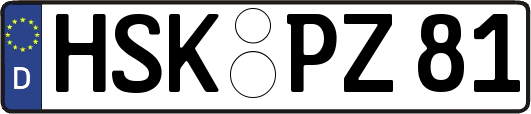 HSK-PZ81