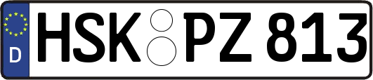 HSK-PZ813