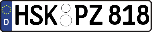 HSK-PZ818