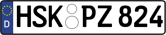 HSK-PZ824
