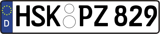 HSK-PZ829