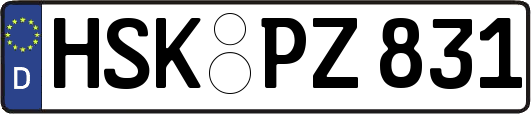 HSK-PZ831