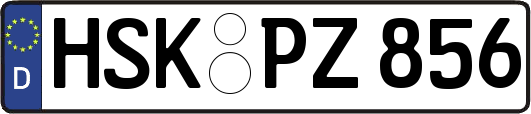 HSK-PZ856