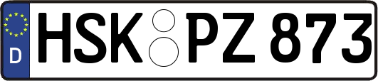 HSK-PZ873