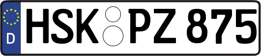 HSK-PZ875