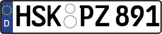HSK-PZ891