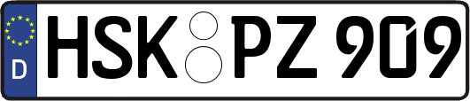 HSK-PZ909