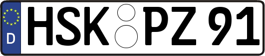 HSK-PZ91
