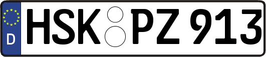 HSK-PZ913