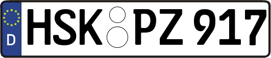 HSK-PZ917