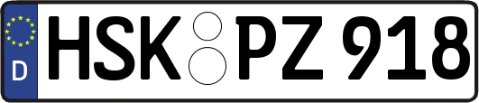 HSK-PZ918