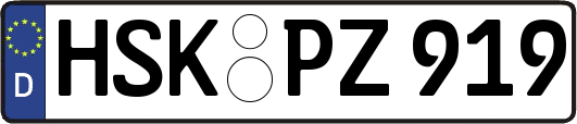HSK-PZ919
