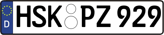 HSK-PZ929