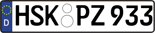 HSK-PZ933