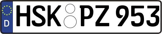 HSK-PZ953