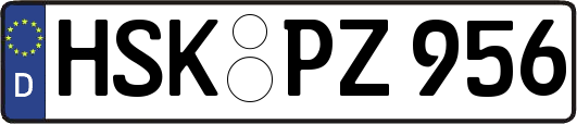 HSK-PZ956