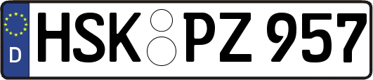 HSK-PZ957
