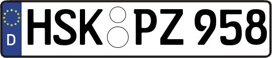 HSK-PZ958