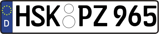 HSK-PZ965