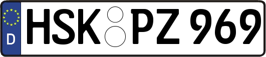 HSK-PZ969