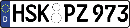 HSK-PZ973