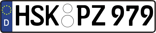 HSK-PZ979