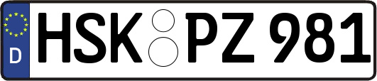 HSK-PZ981