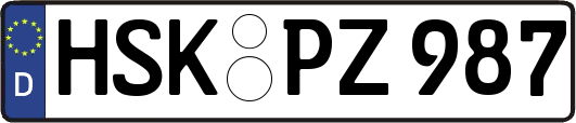 HSK-PZ987