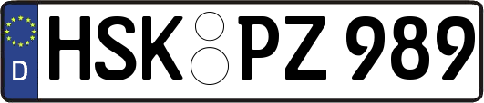 HSK-PZ989