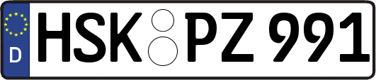 HSK-PZ991