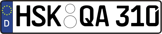HSK-QA310