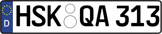 HSK-QA313