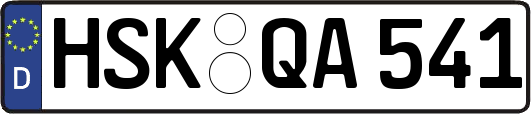 HSK-QA541