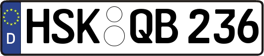 HSK-QB236