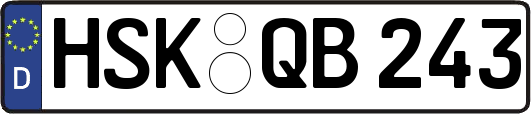 HSK-QB243