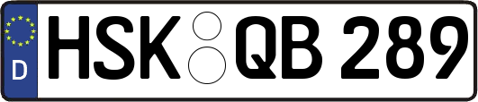 HSK-QB289