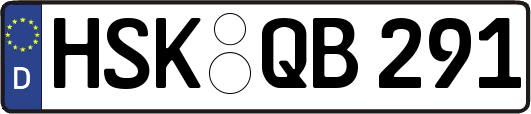 HSK-QB291
