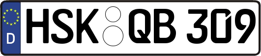 HSK-QB309