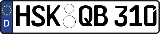 HSK-QB310