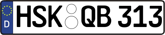 HSK-QB313