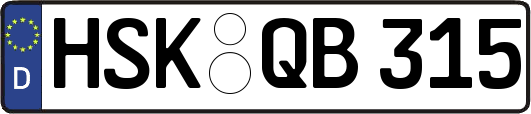 HSK-QB315