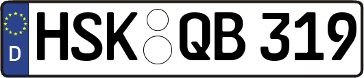 HSK-QB319
