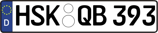 HSK-QB393