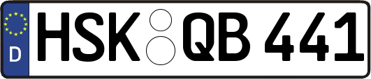 HSK-QB441
