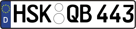 HSK-QB443