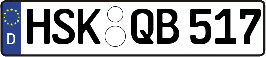 HSK-QB517