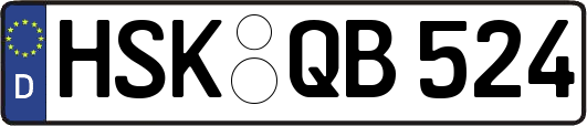 HSK-QB524