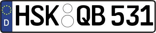 HSK-QB531