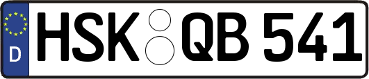 HSK-QB541