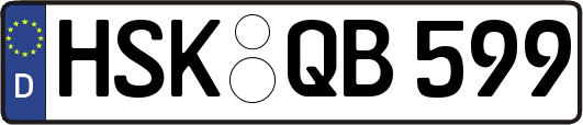 HSK-QB599